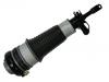 减振器 Shock Absorber:4F0 616 040 AA