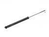 Amortisseur Shock Absorber:41810-71L70